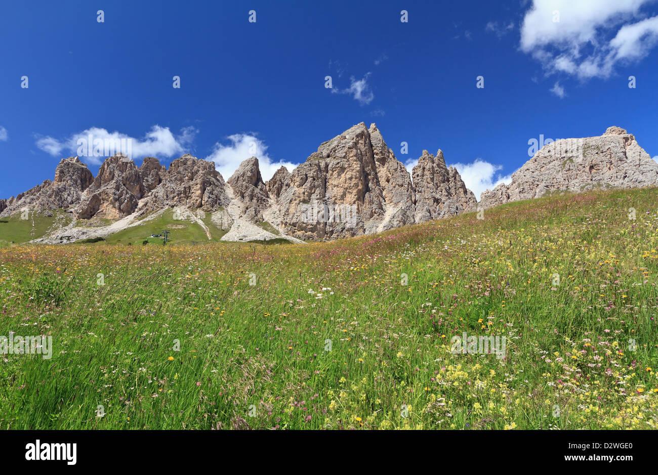 flowers and meadow beneath Cir Dolomites, Trentino Alto Adige, Italy Stock Photo