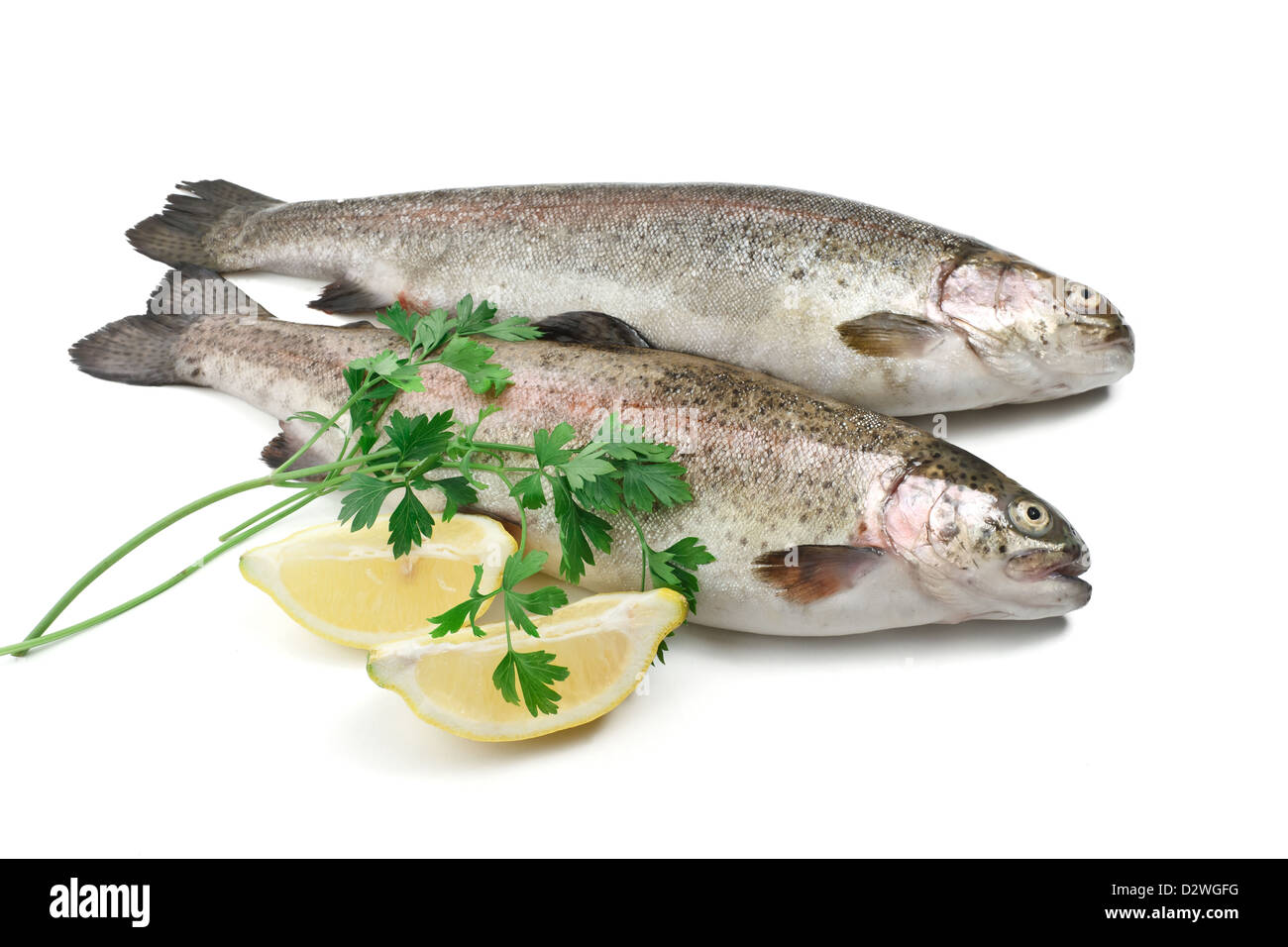 two rainbow trouts with lemon and parsley over white background Stock Photo