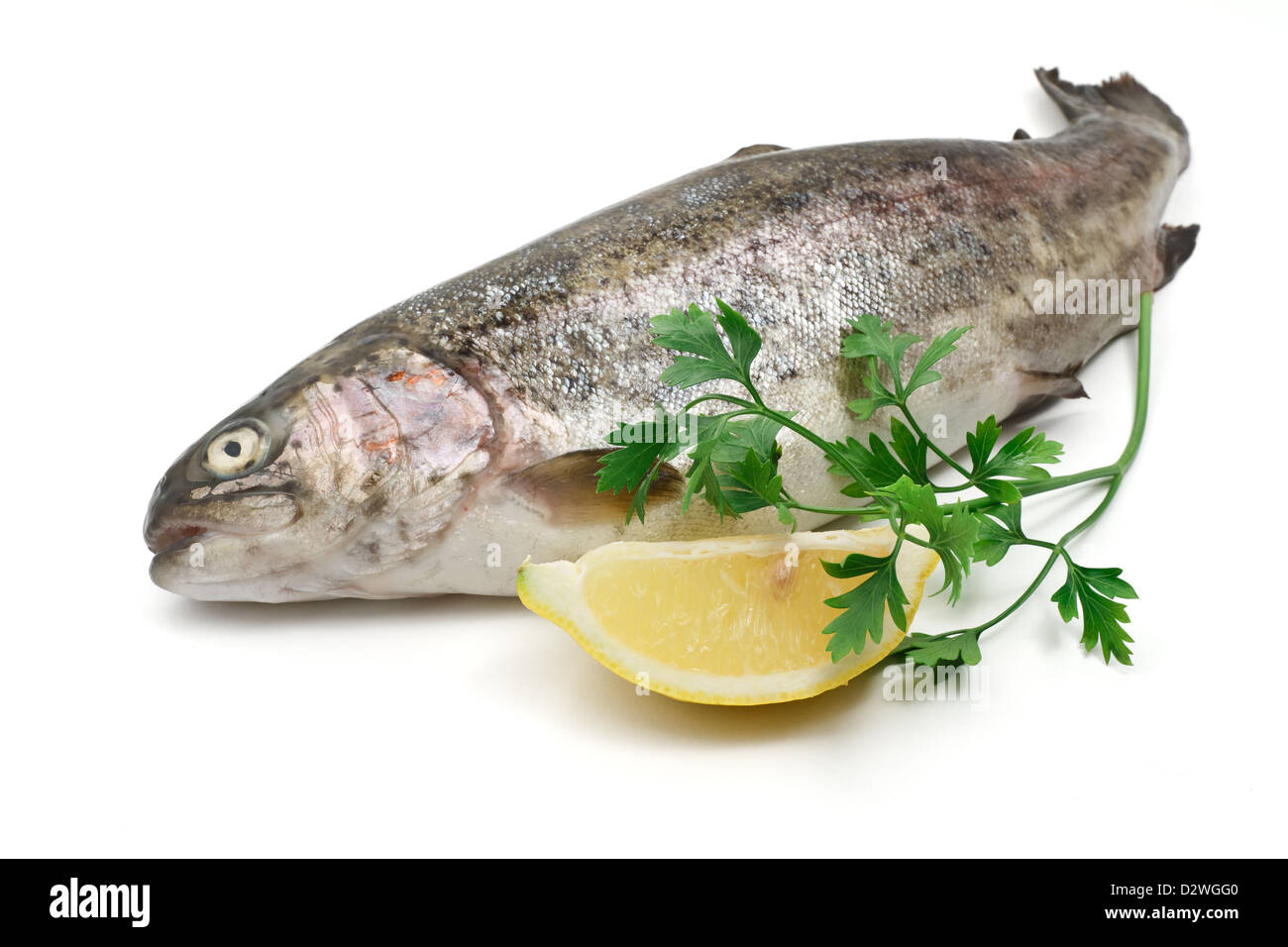 one rainbow trout with lemon and parsley over white background Stock Photo
