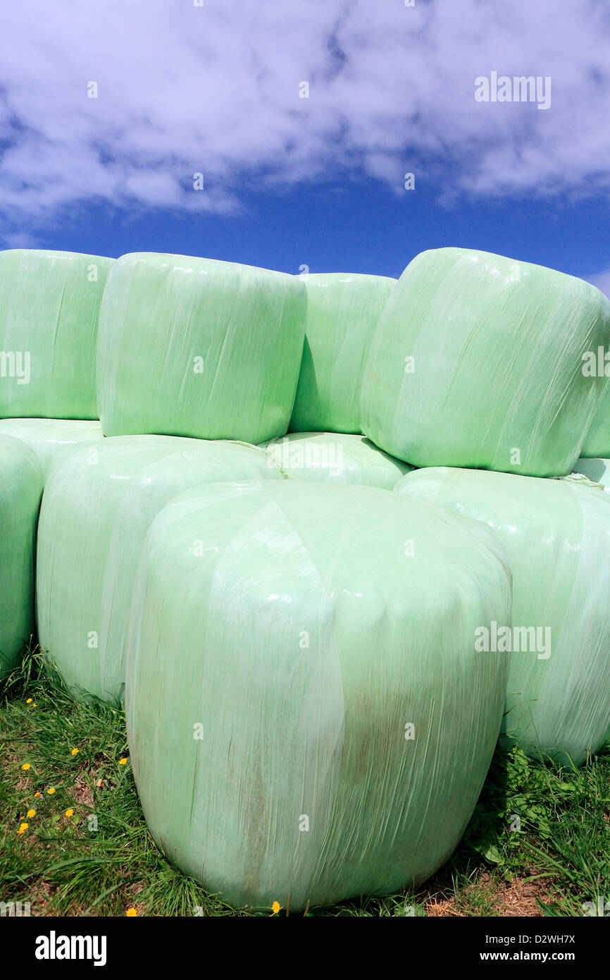 Wrapped bale hires stock photography and images Alamy