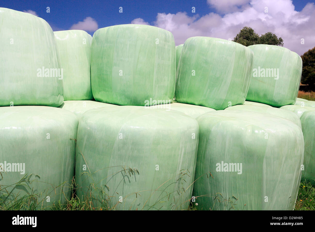Wrapped bale hires stock photography and images Alamy