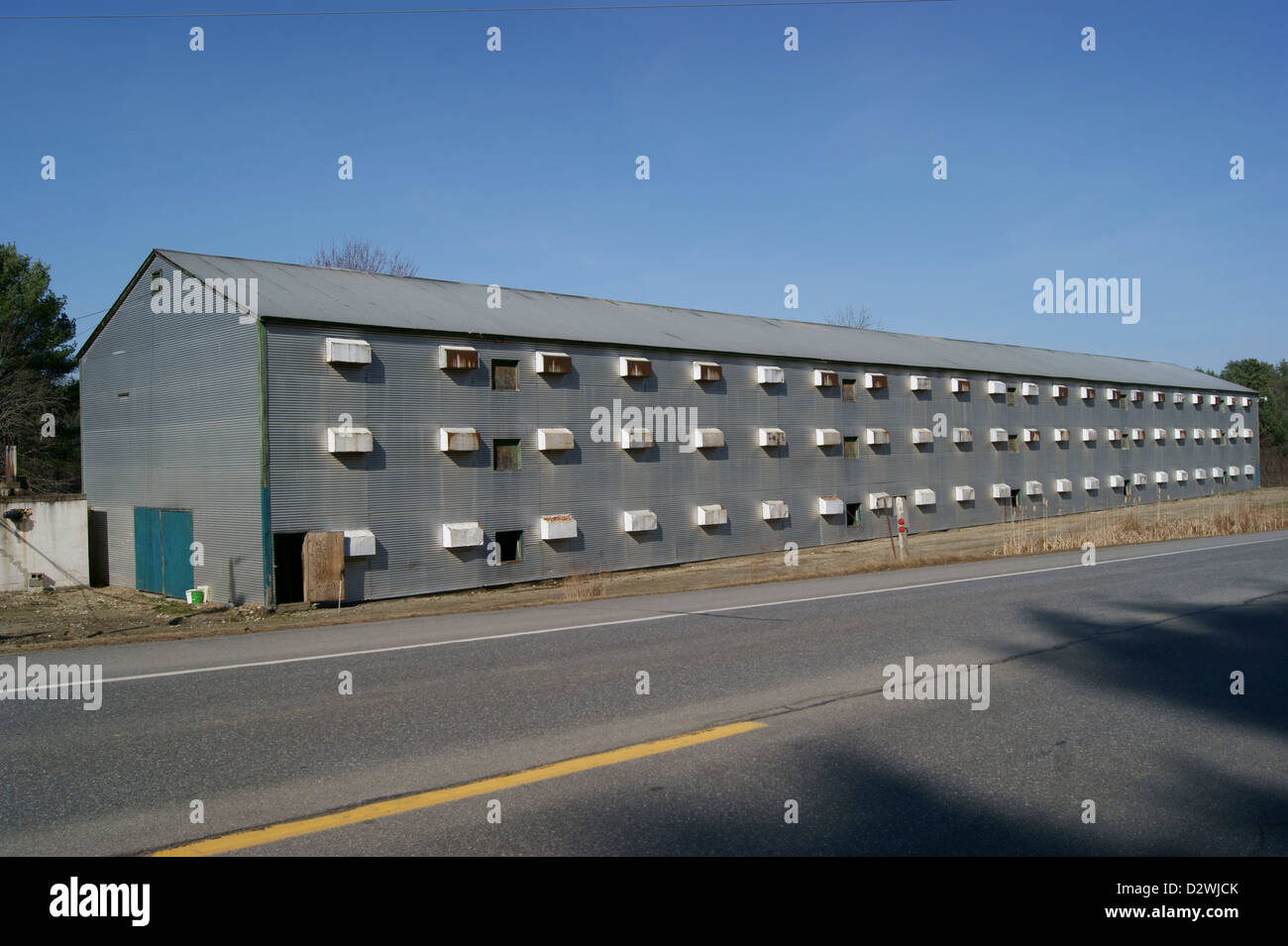 Full Length View Of Abandoned Chicken Barns In Belfast Maine