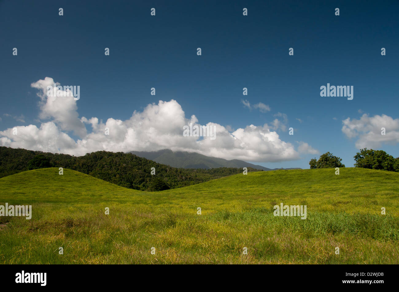 Daintree Village, Far North Queensland, Australia Stock Photo Alamy