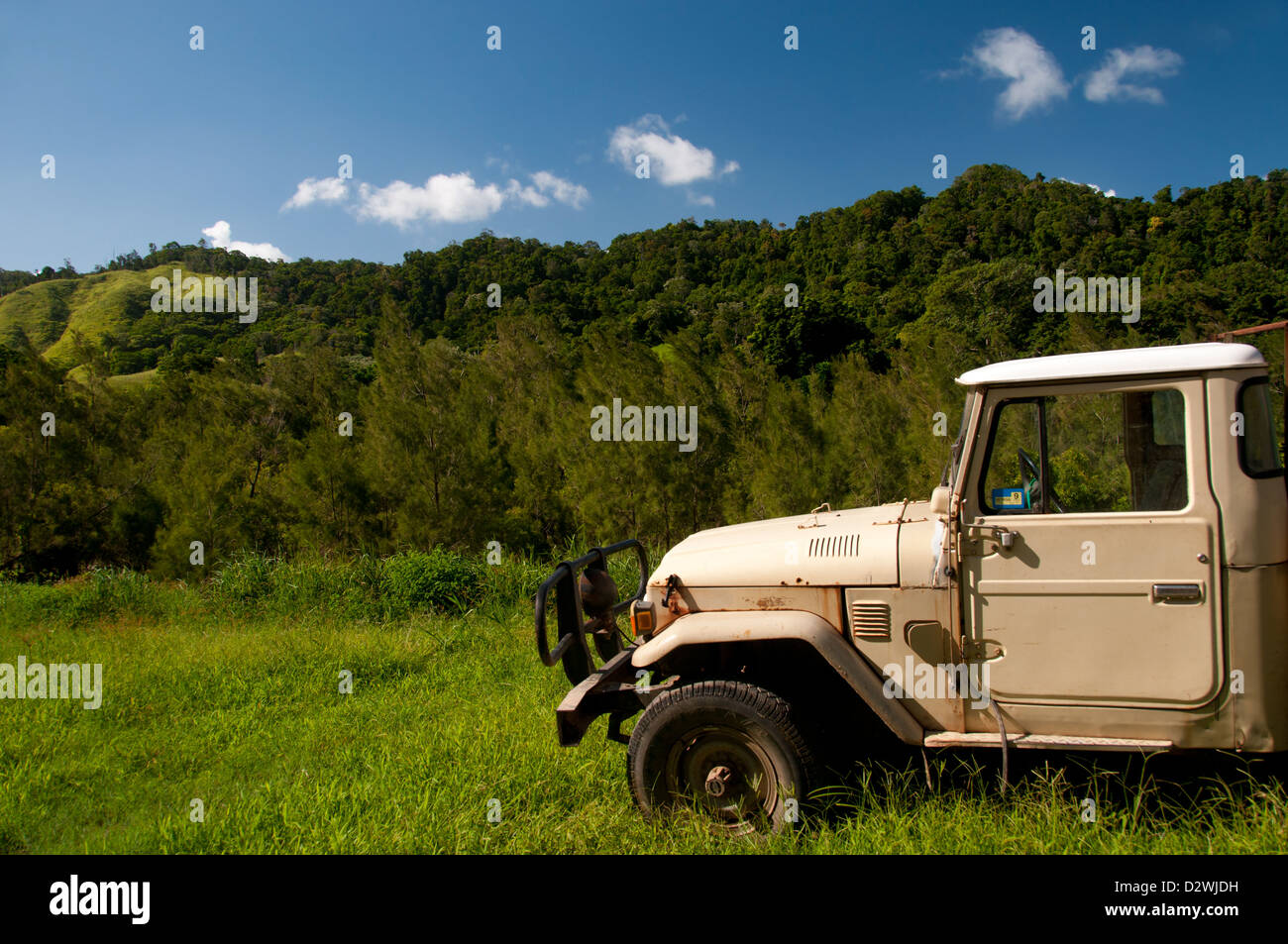 Rural Land For Sale Daintree at Virginia Bittner blog