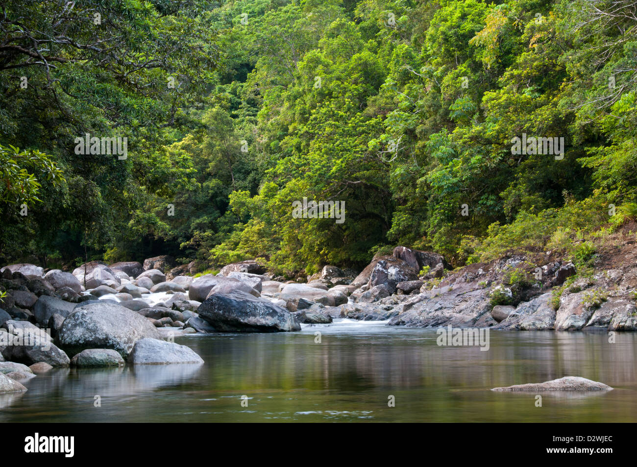 Mossman Gorge, North Of Cairns, Near Mossman, North Queensland 