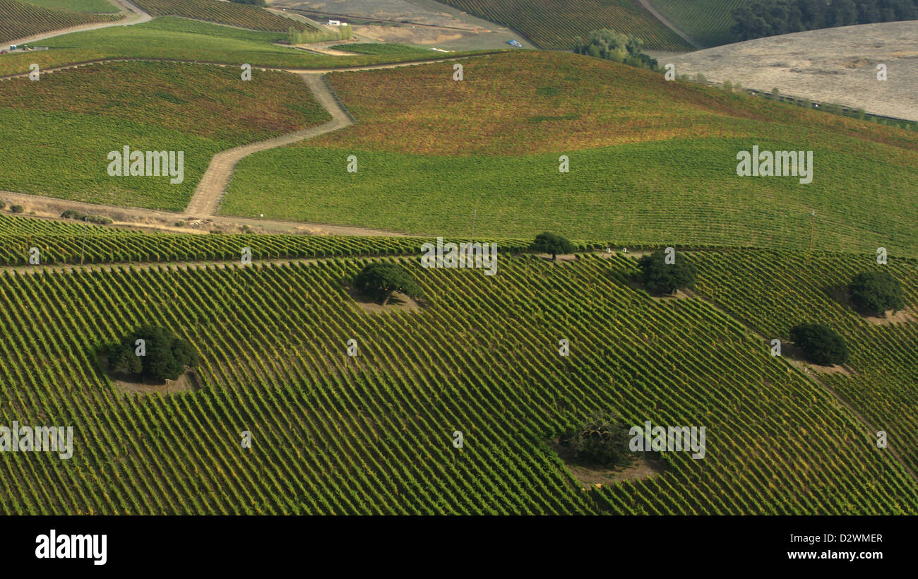 Napa Valley vines areal view Stock Photo