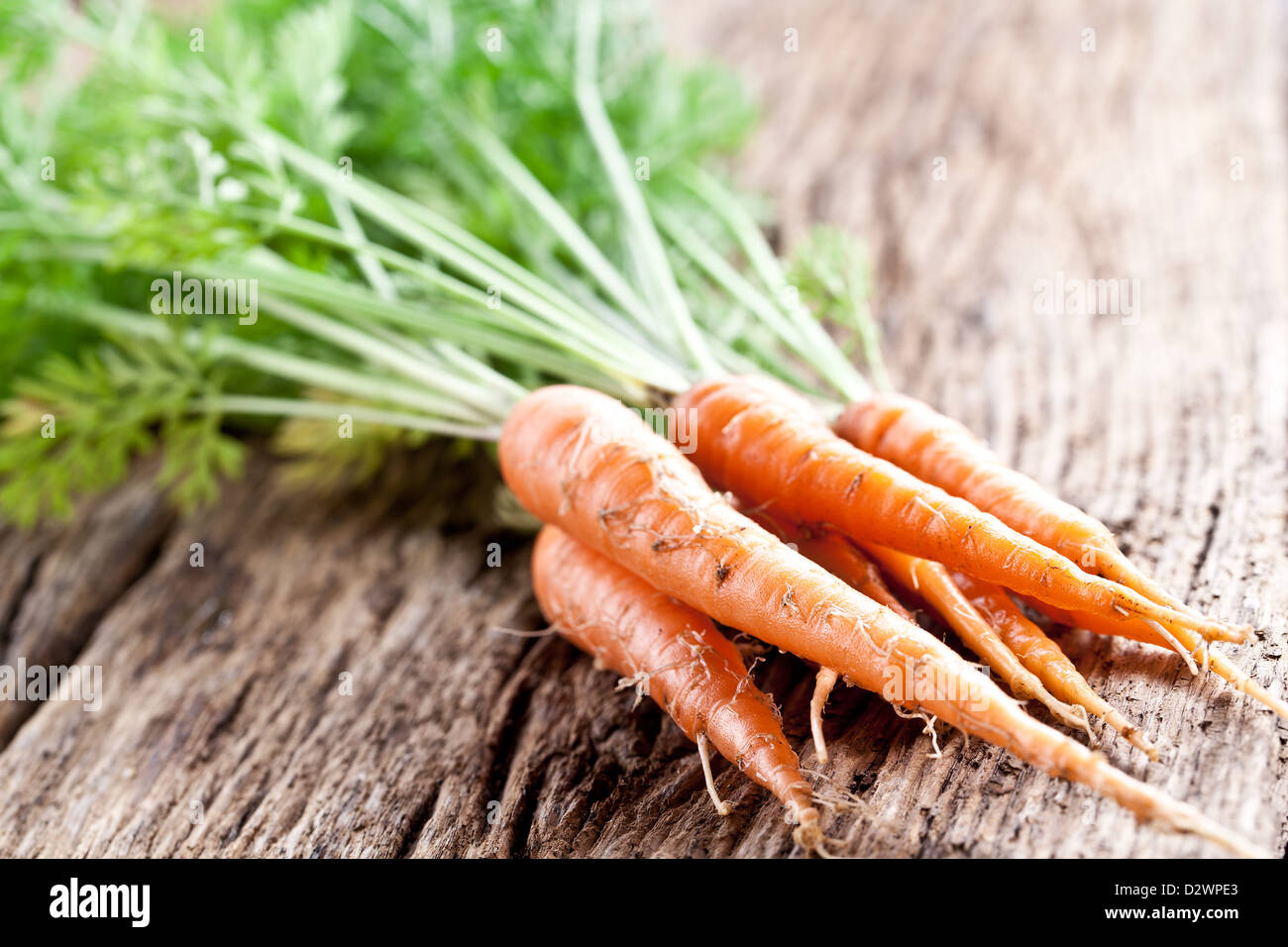 Carrots with leaves on a old wooden table. Stock Photo