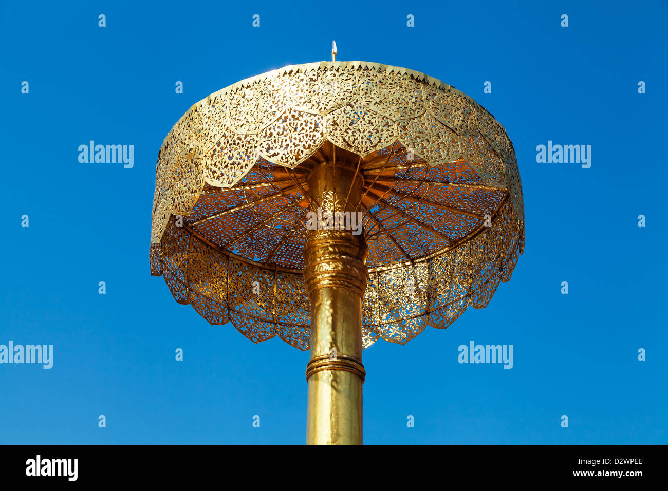 gold umbrella photography