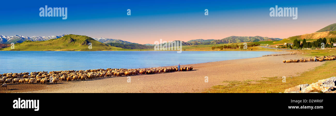 Shepherds & their sheep on the shotre of Lake Van, Turkey 6 Stock Photo