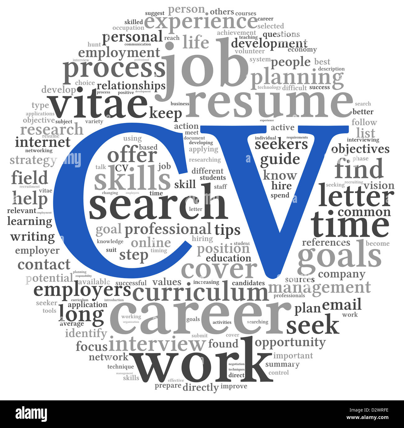 Cv Curriculum Vitae Concept In Word Tag Cloud On White Background