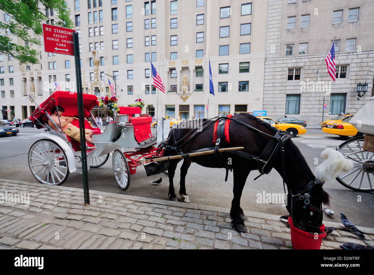 Manhattan, New York: The Famous horse carriages at Central park. Yellow taxis pass in the background. Stock Photo