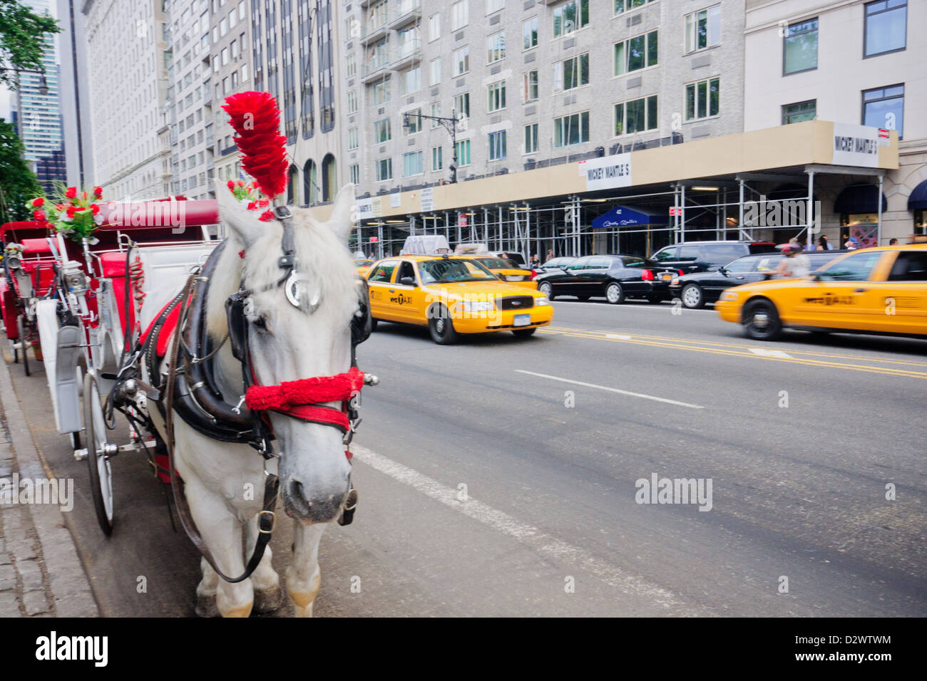 Manhattan, New York: The Famous horse carriages at Central park. Yellow taxis pass in the background. Stock Photo