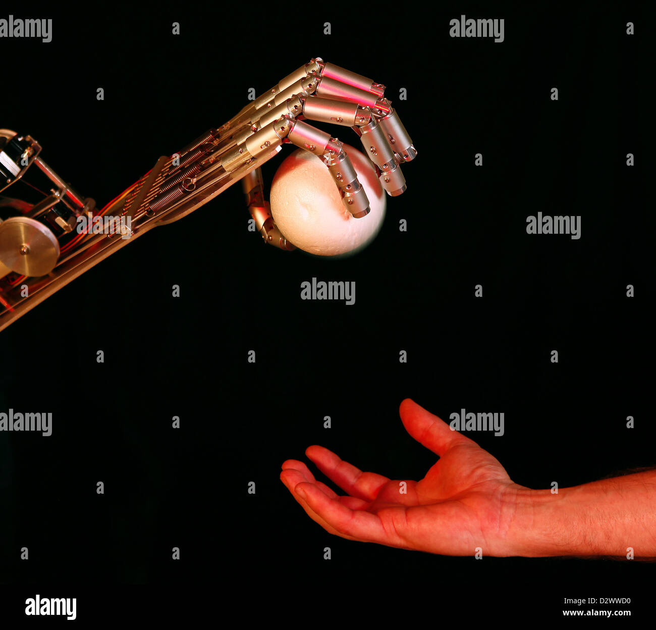 Berlin, Germany, Bionic hand and human hand Stock Photo