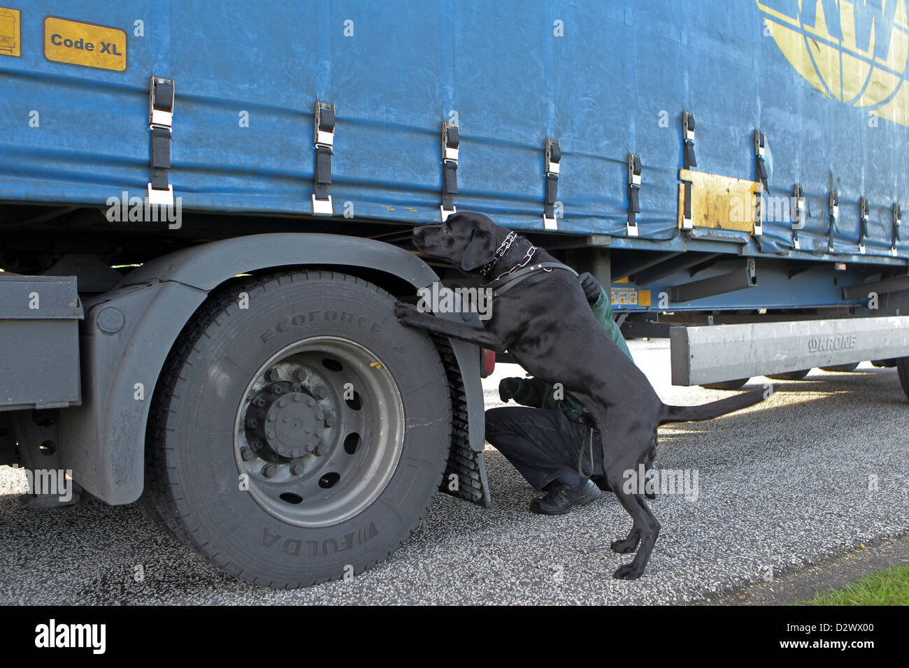 Brekendorf, Germany, customs officer searched by customs dog a truck Stock Photo