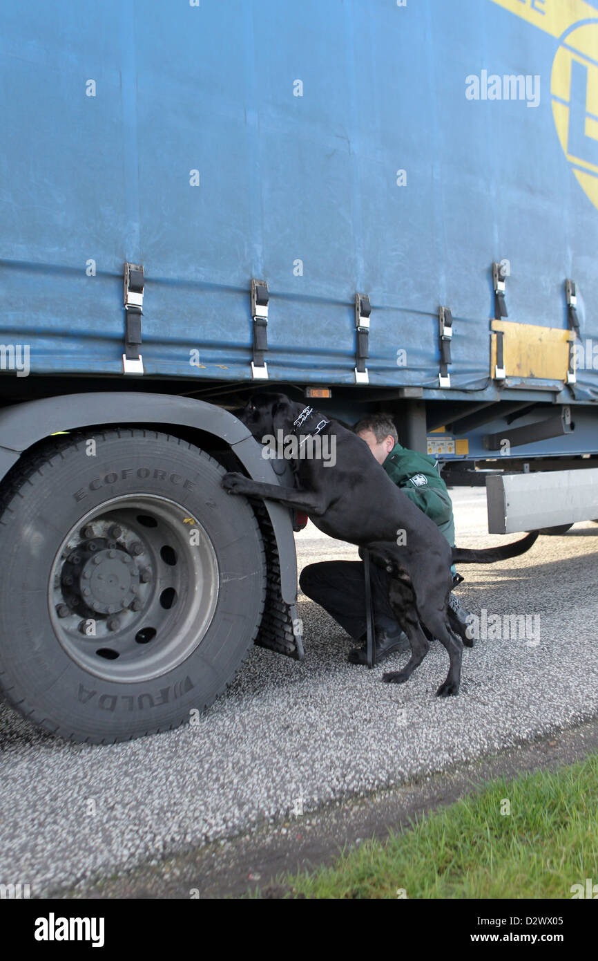 Brekendorf, Germany, customs officer searched by customs dog a truck Stock Photo