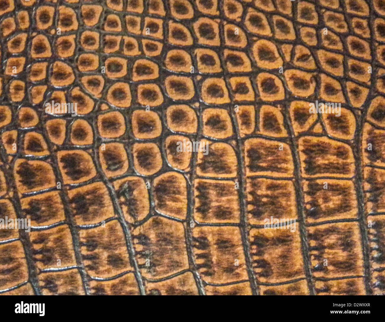 Snake leather texture Stock Photo Alamy