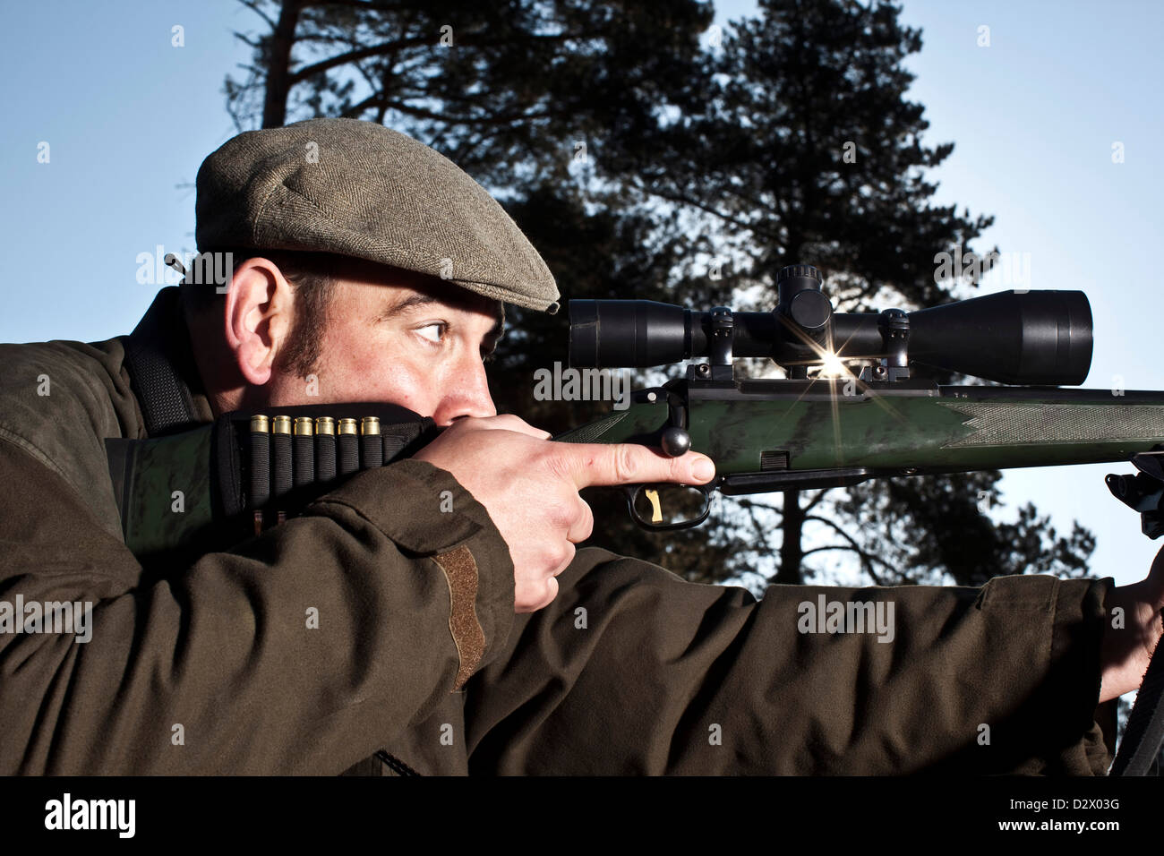 Deer hunter aiming gun in Thetford forest, UK Stock Photo