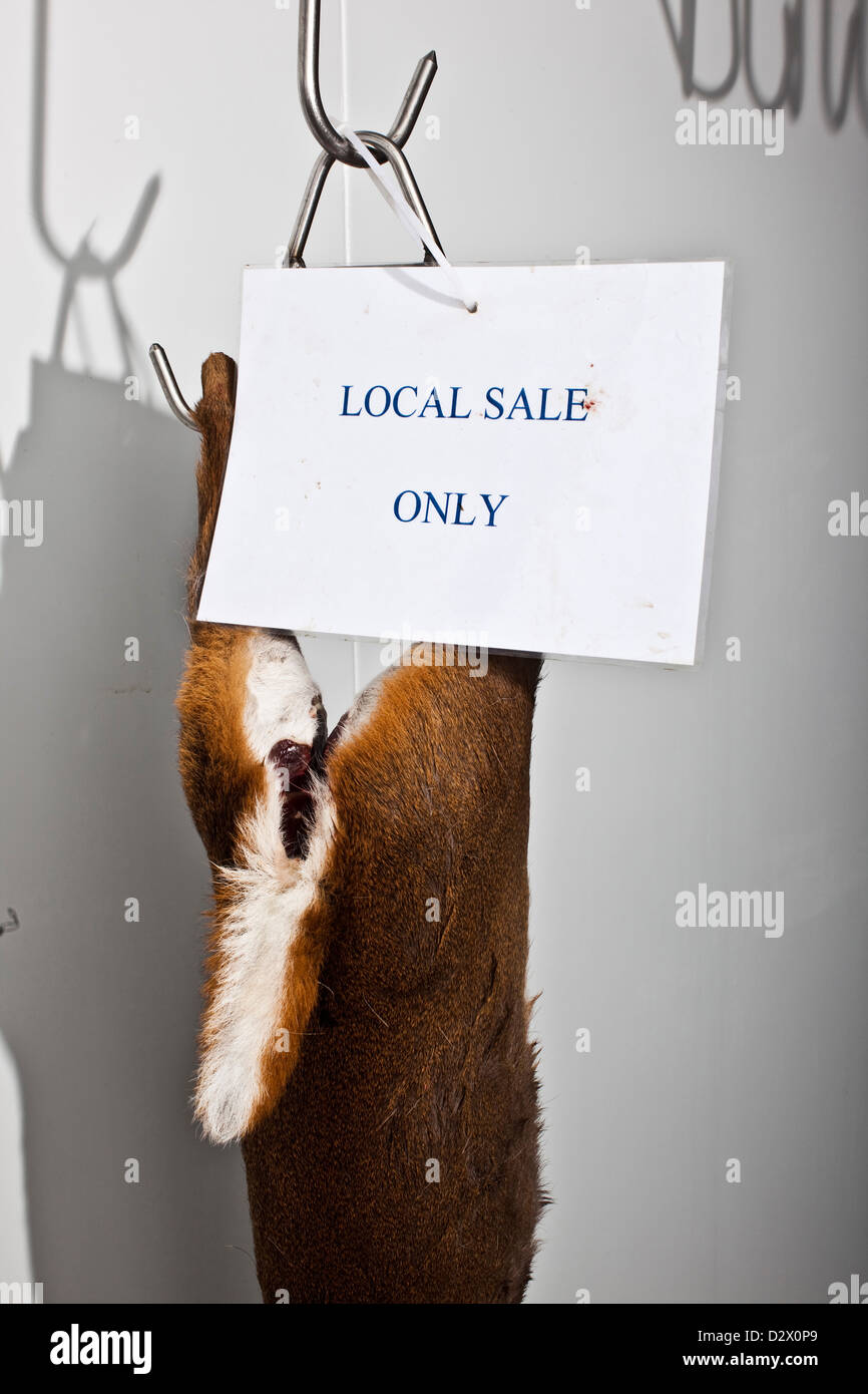 Dead deer hang from hooks in abattoir, Thetford, UK Stock Photo