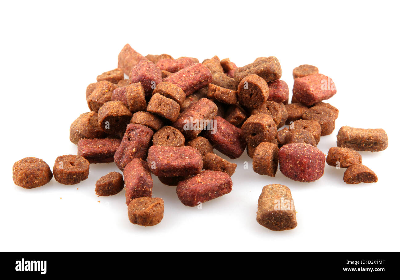 Dry Dog Food Samples Ngasih Pakan Anjing Gratis, Emang Boleh? Dry Dog Food Samples Ngasih Pakan Anjing Gratis, Emang Boleh?