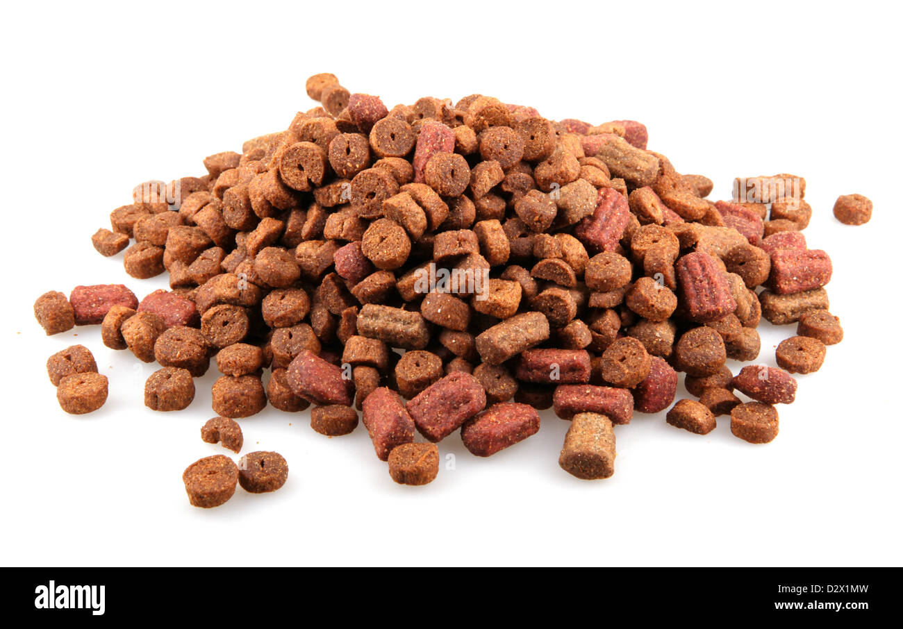 dry dog food Stock Photo