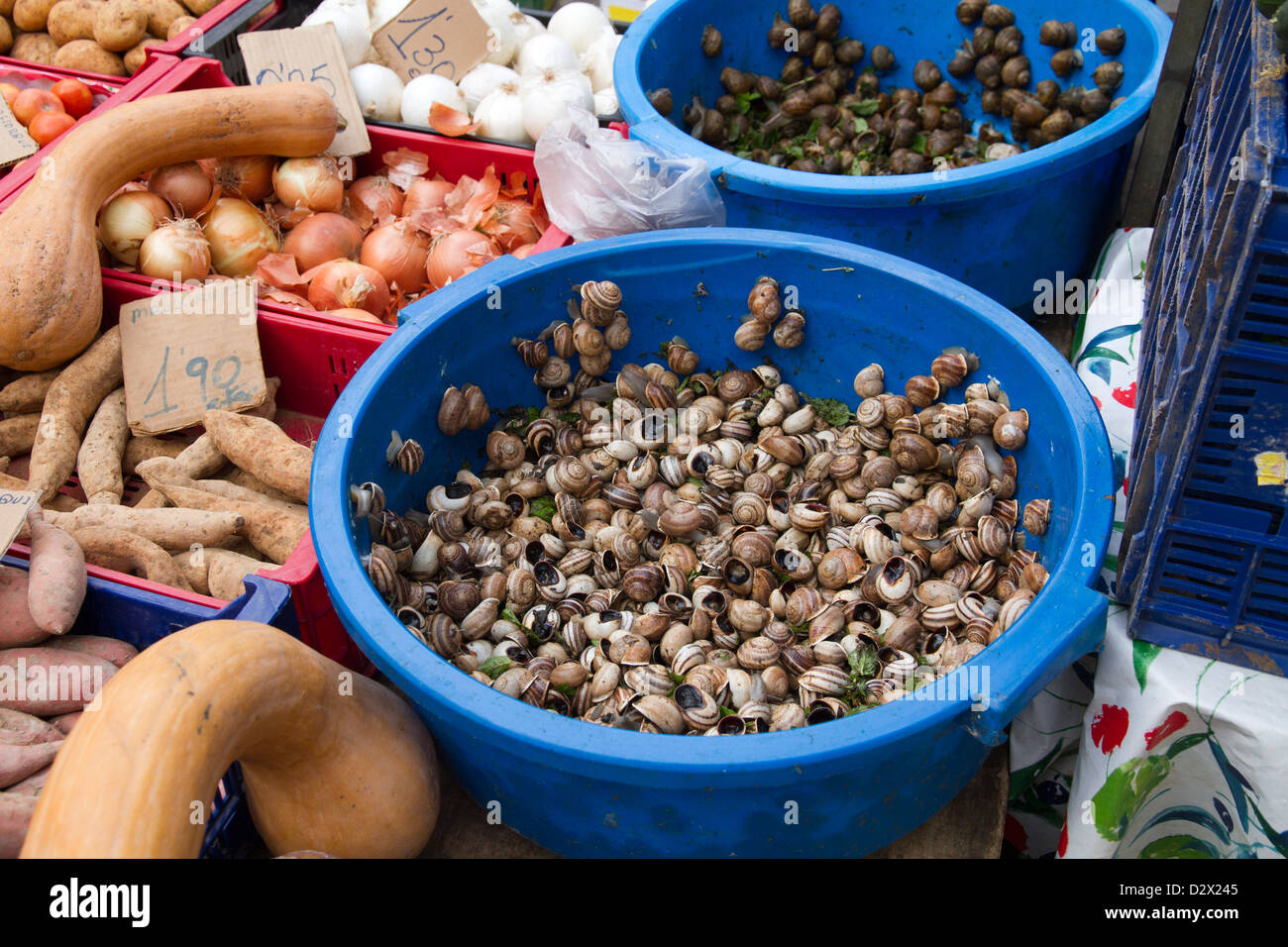 Snails food mallorca hires stock photography and images Alamy