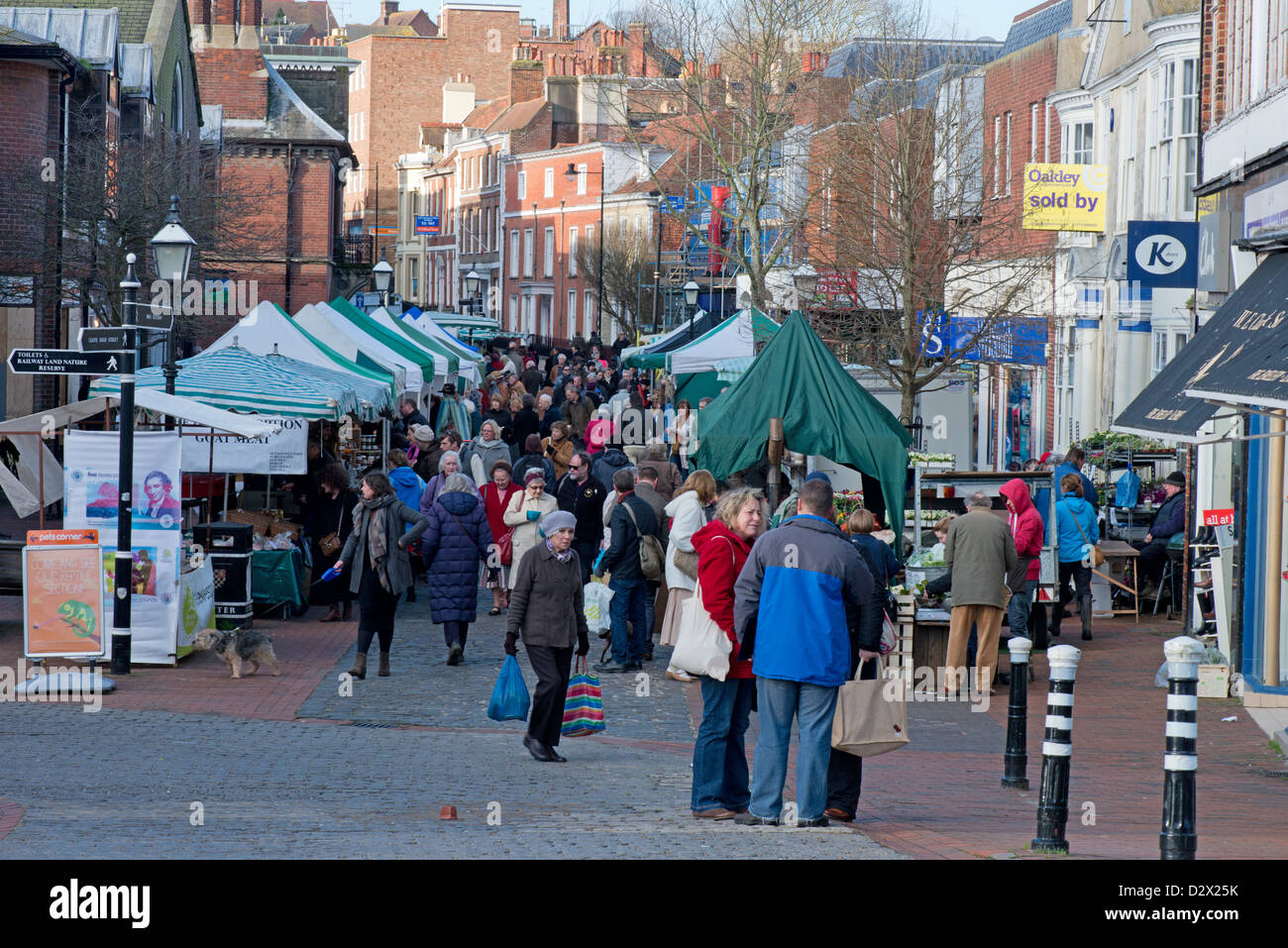 LOCAL FARMERS MARKET ( held monthly ) LEWES. EAST SUSSEX. ENGLAND Stock Photo
