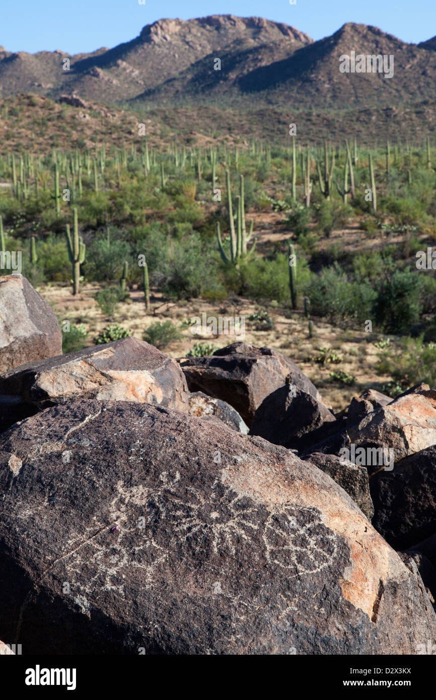 Rock Art in Saguaro N.P, Arizona, USA Stock Photo