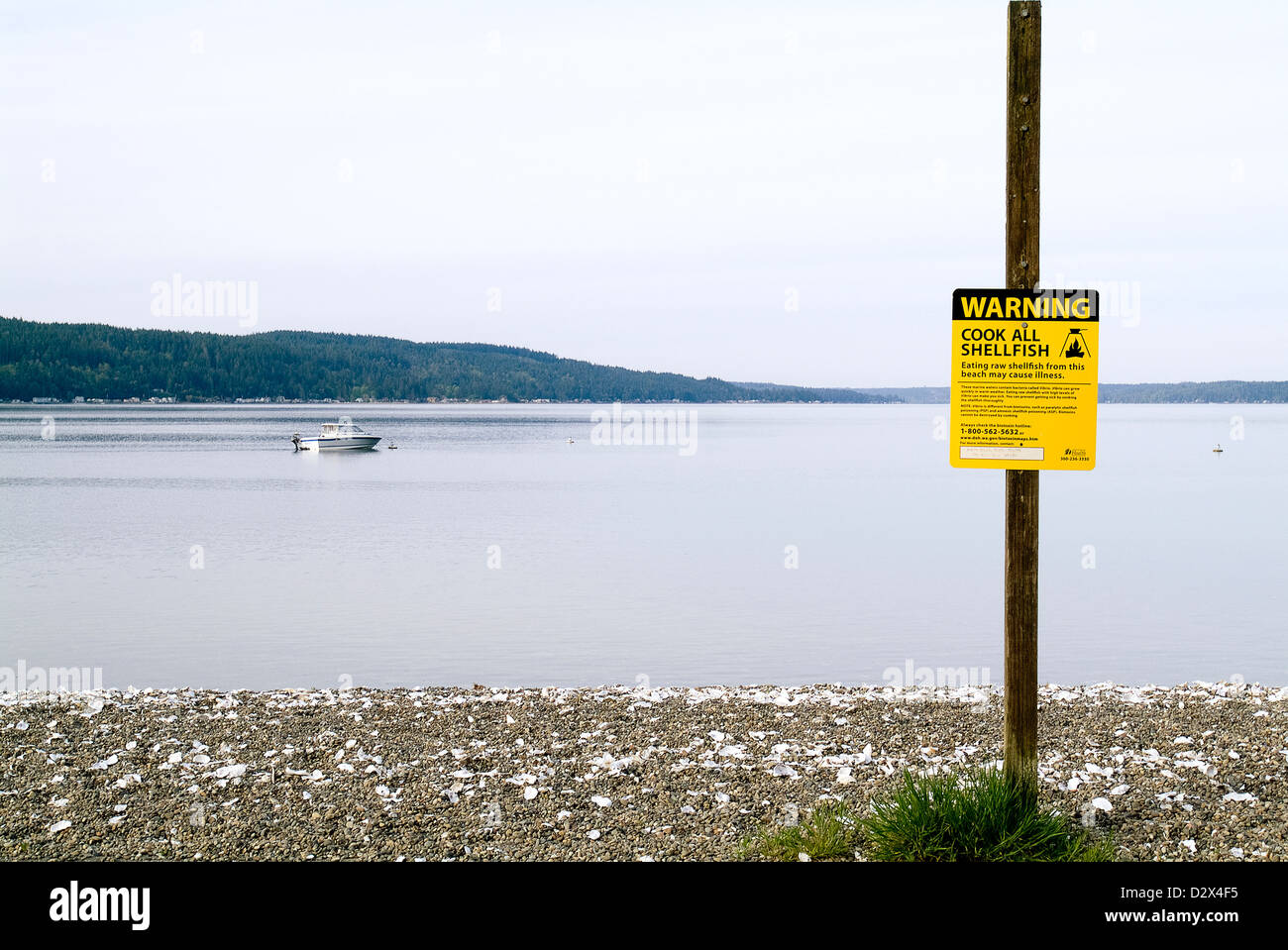 Warning sign to cook shellfish due to a bacteria called Vibrio Stock