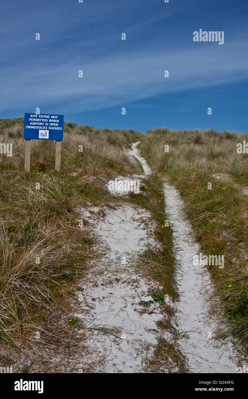 Isle of Barra, Outer Hebrides, Western Isles, Scotland, wild beach grasses along a dune path way Stock Photo