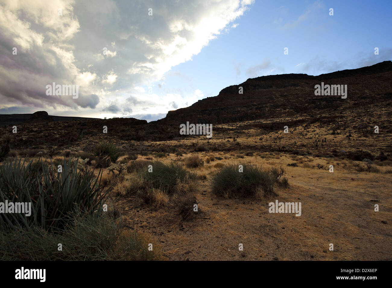 East Mojave National Preserve winter evening near Hole-in-the-Wall ...