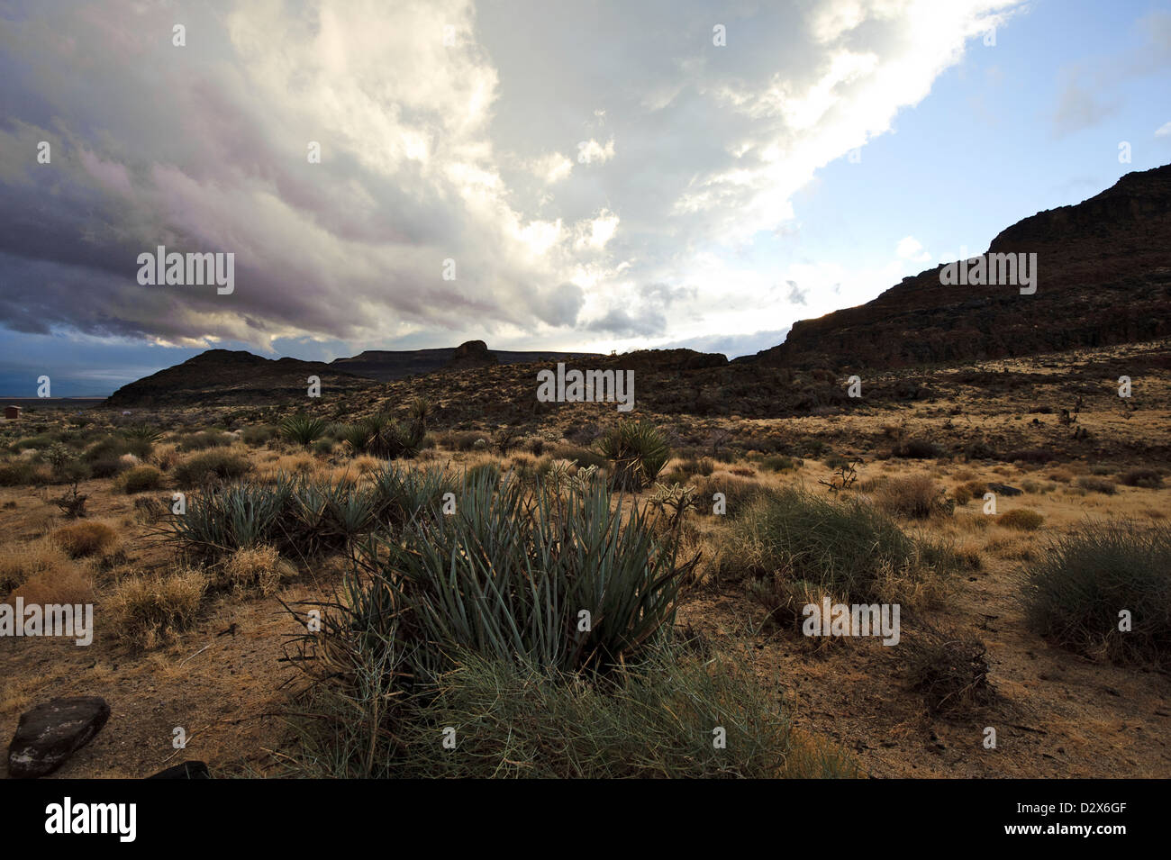 East Mojave National Preserve winter evening near Hole-in-the-Wall ...