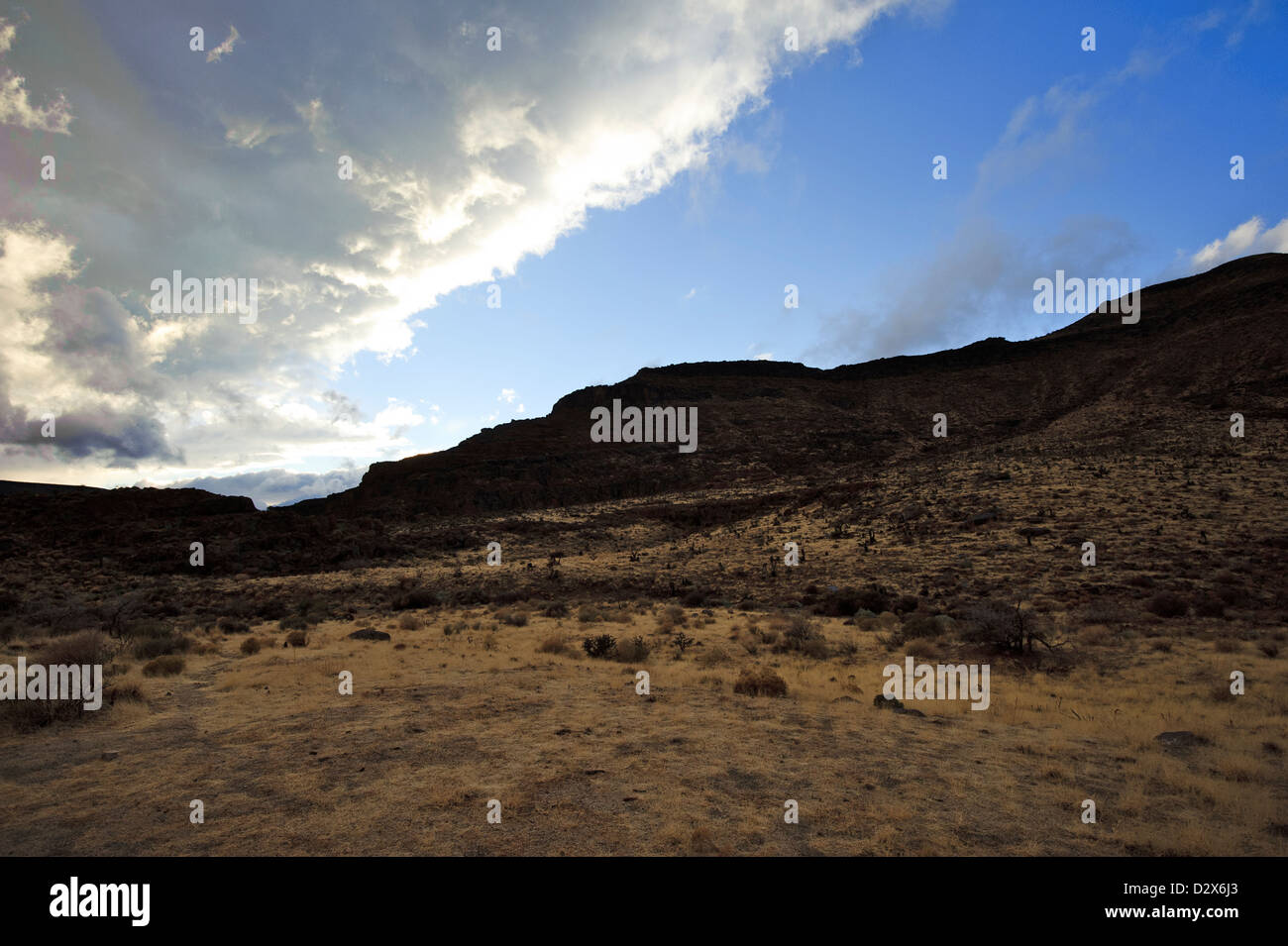 East Mojave National Preserve winter evening near Hole-in-the-Wall ...