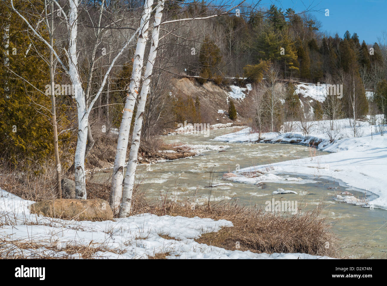 View from Rouge Valley Park, Toronto, Canada Stock Photo Alamy