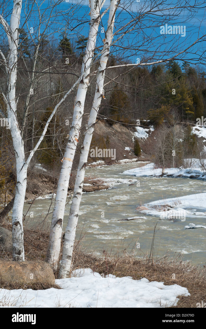 View from Rouge Valley Park, Toronto, Canada Stock Photo Alamy