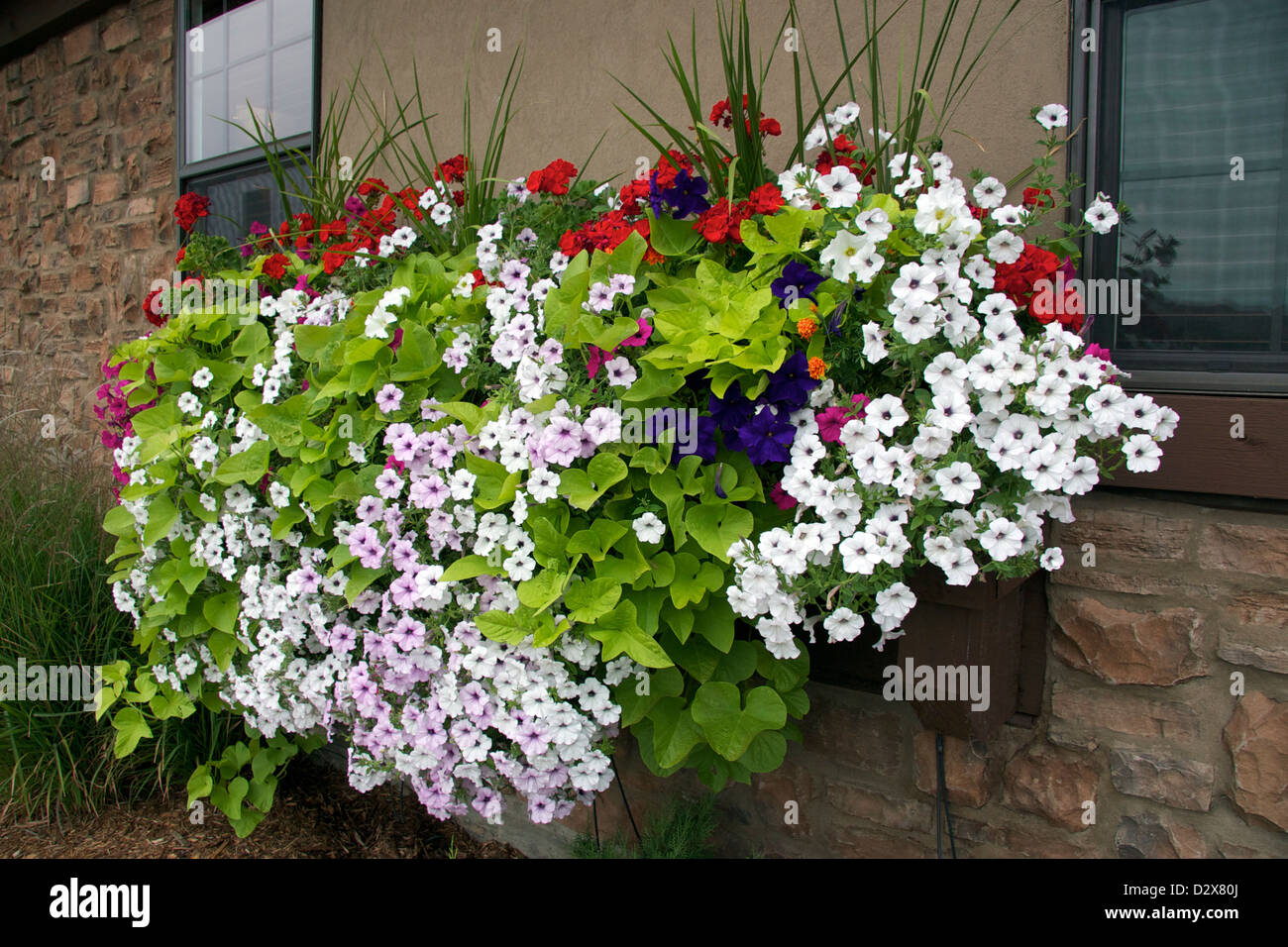 A planter box filled with annuals Stock Photo