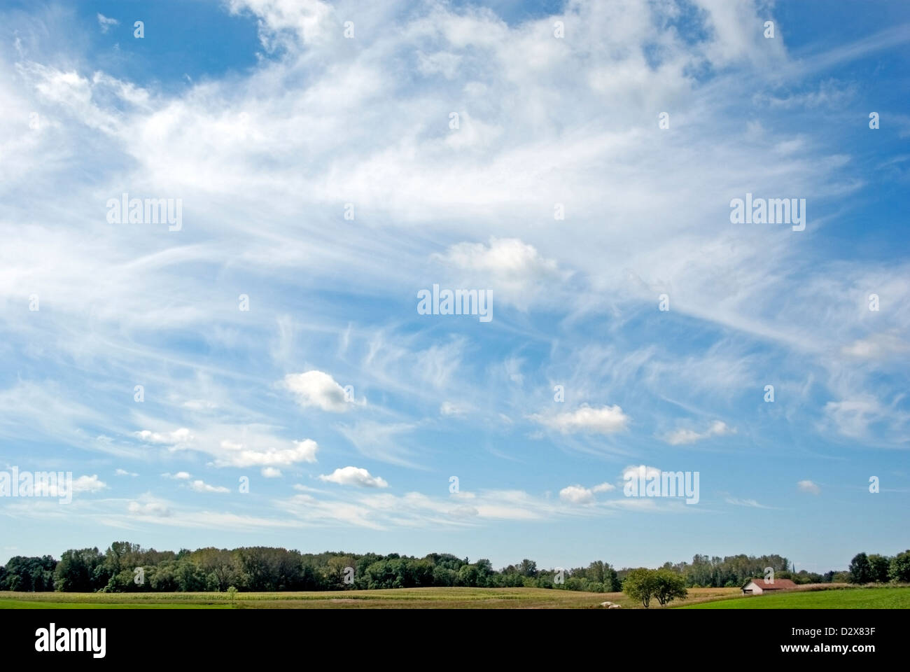 windswept skies, cumulus and cirrus clouds with fall streaks Stock Photo