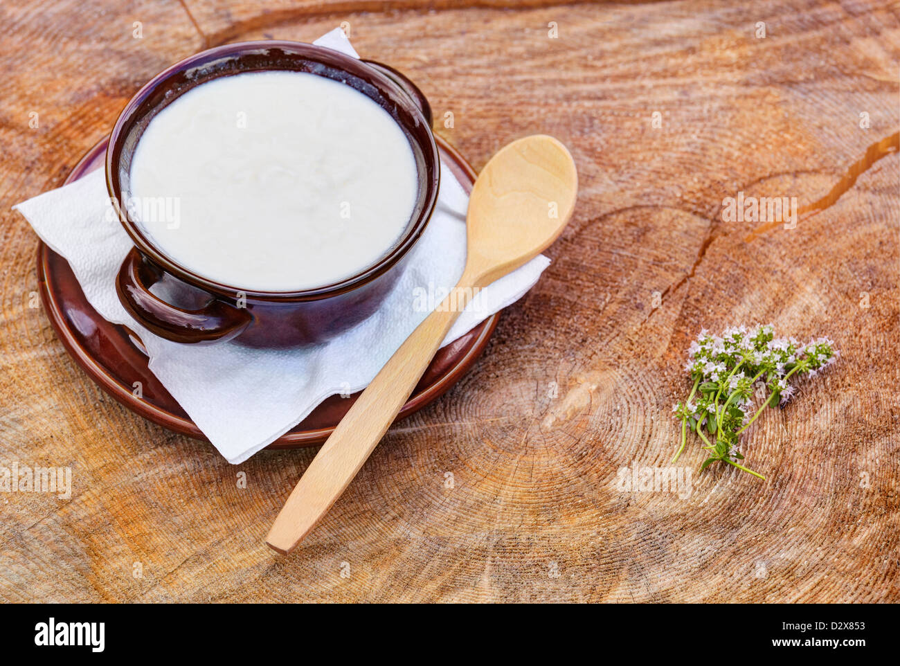 Bowl of organic goat yogurt with wooden spoon Stock Photo Alamy