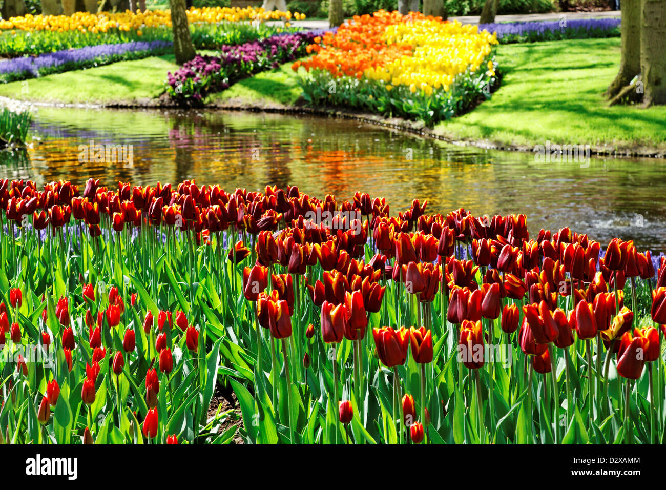 Colorful Tulips in Keukenhof Gardens Stock Photo - Alamy