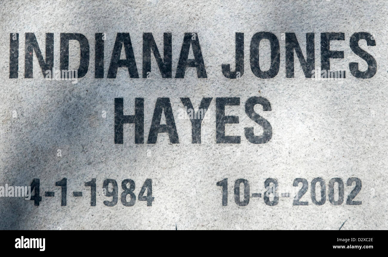 Feb. 03, 2013 Calabasas, CA, US Thousands of pets are buried at the