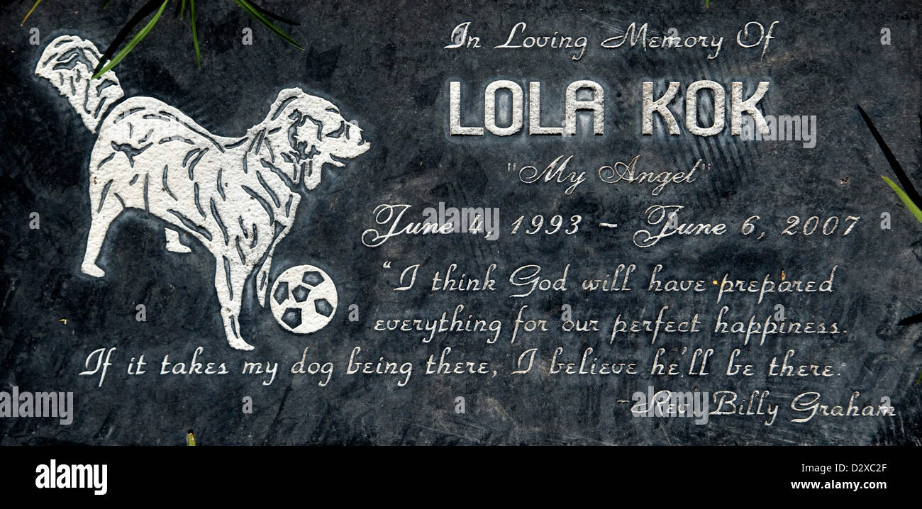 Petey the dog hires stock photography and images Alamy