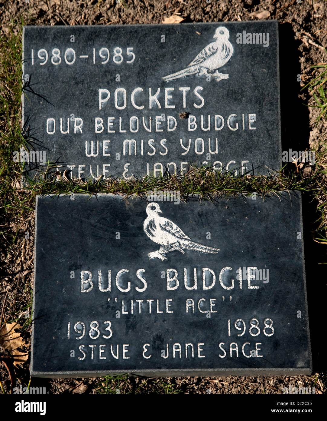 Los angeles pet memorial park hires stock photography and images Alamy