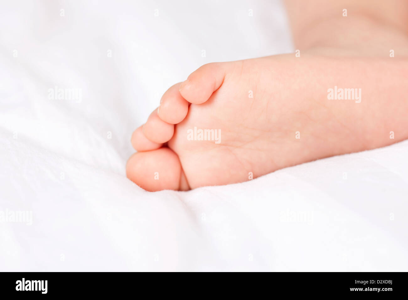 Close up human foot hi-res stock photography and images - Alamy