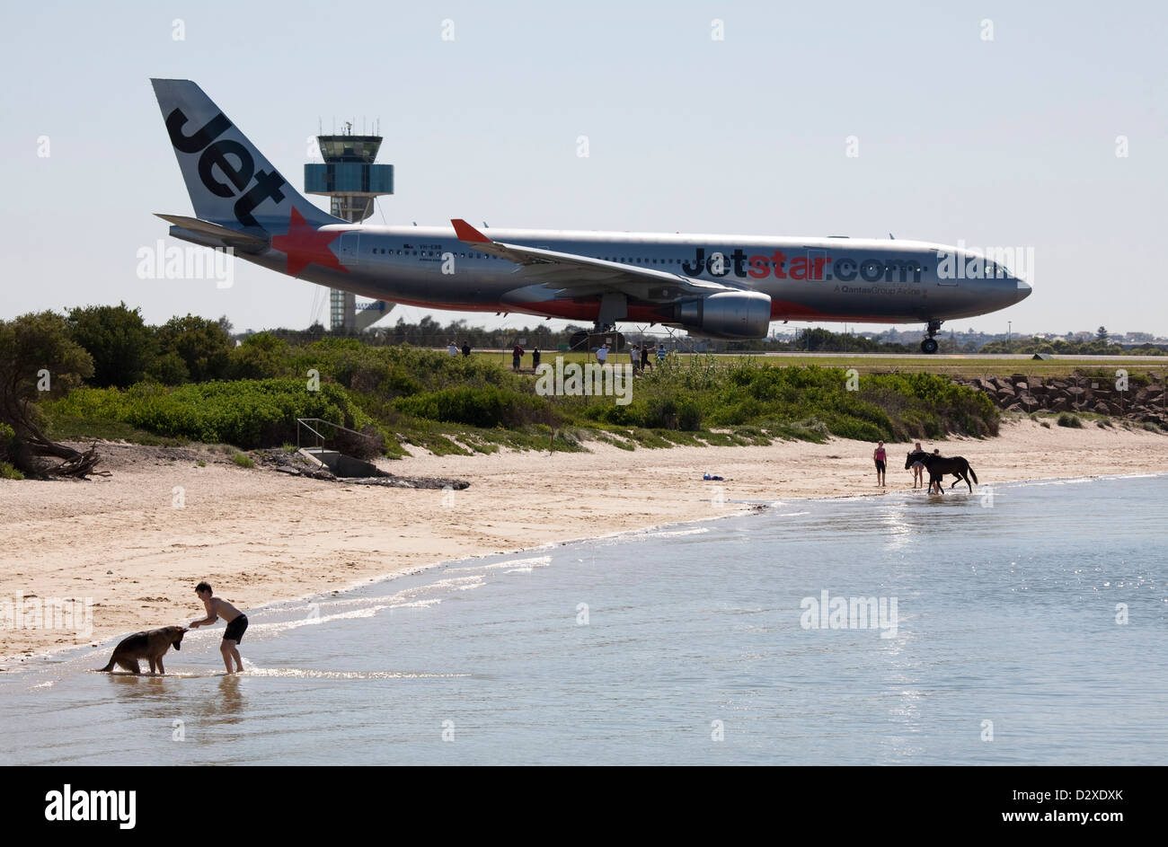 Teenager exercising  dog  in front of Jetstar Aircraft taxiing past beach at Kingsford Smith Airport Sydney Australia Stock Photo