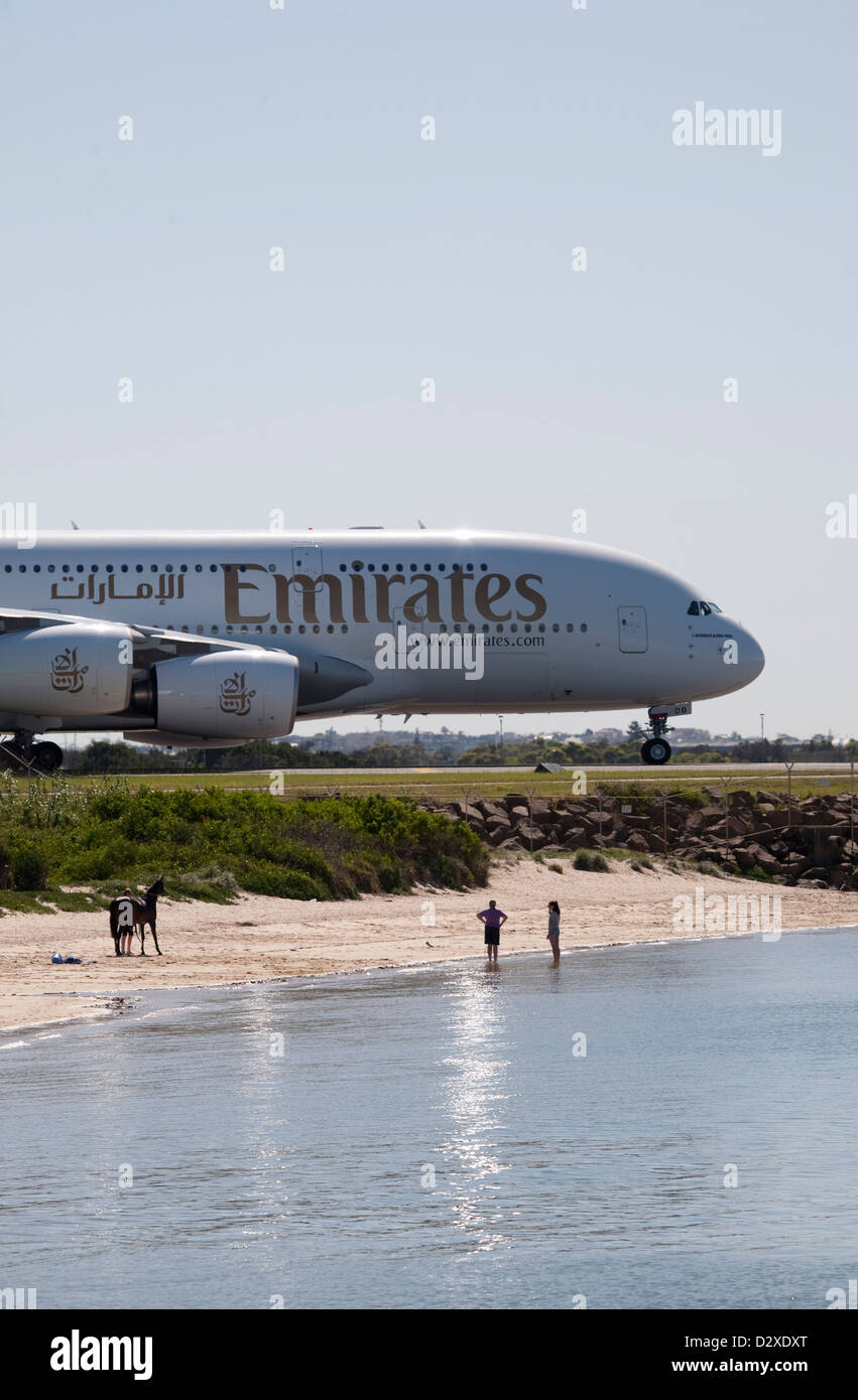Horses exercising on beach next to Emirates Jet Aircraft taxiing on runway at Kingsford Smith Airport Sydney Australia Stock Photo