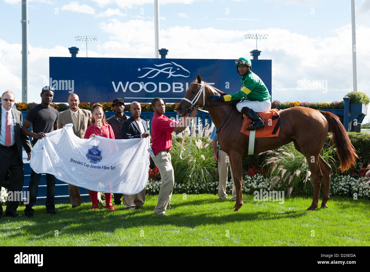 Spring Venture, with jockey P. Husband visits the winners circle after a winning finish at Woodbine Race Course in Ontario, Cana Stock Photo