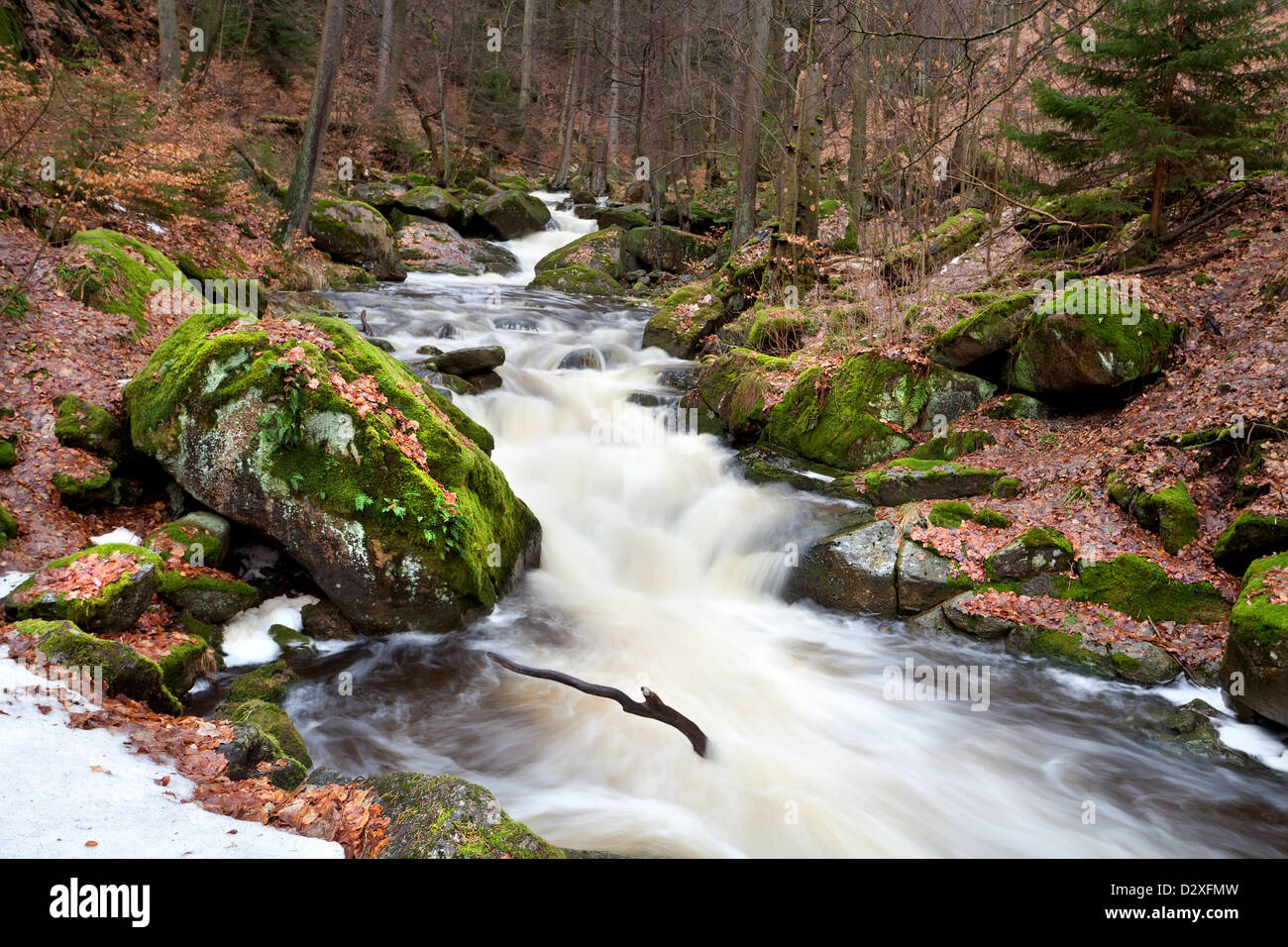 fast and gresh mountain river in Harz, Germany Stock Photo
