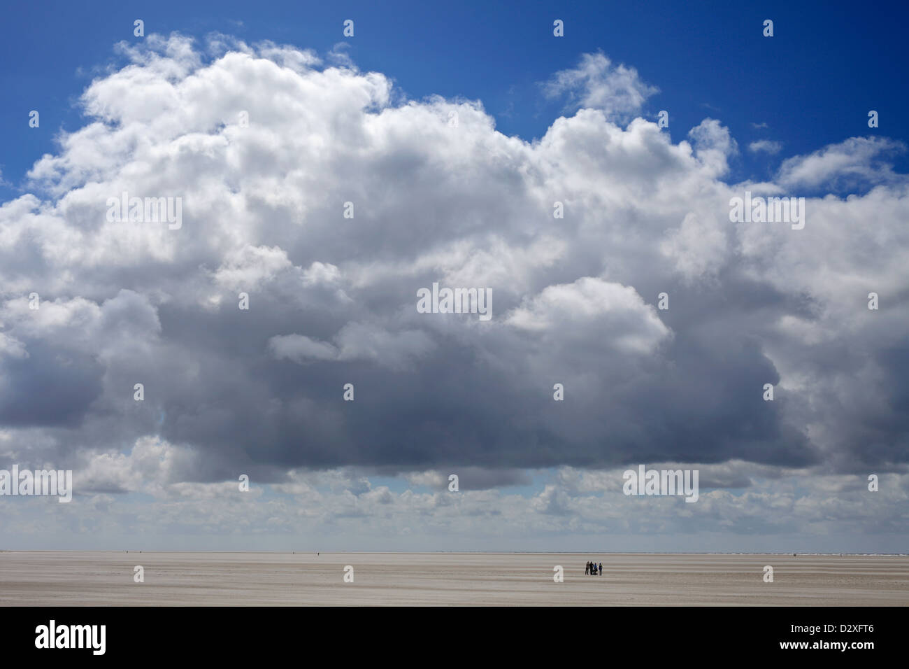 Sankt Peter-Ording, Germany, dramatic cumulus clouds above the beach Stock Photo