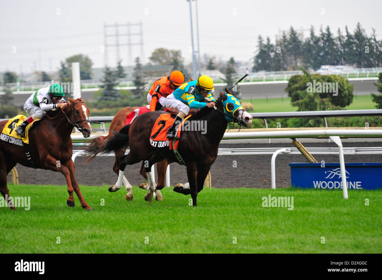 Racing Programs Stock Photos Racing Programs Stock Images Alamy