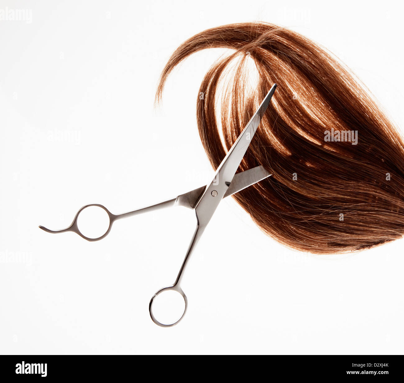 Scissors cutting through brunette hair Stock Photo
