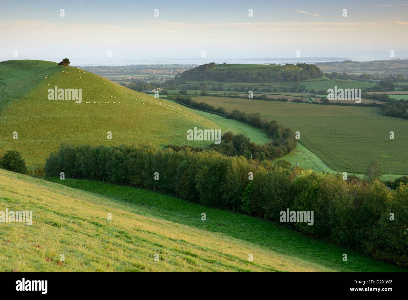 Cadbury Castle and Parrock Hill on